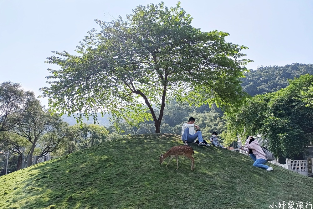 13斑比山丘