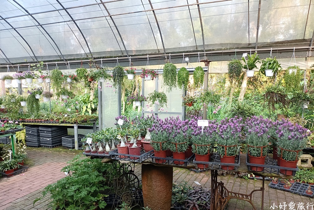 10花露農場