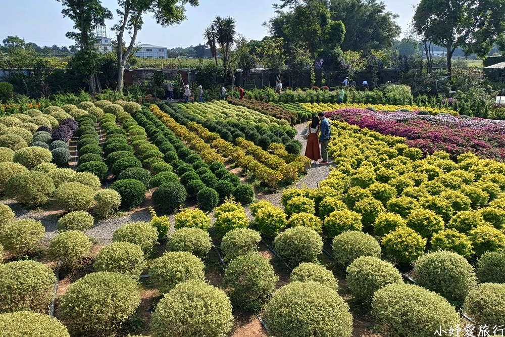 28花露農場
