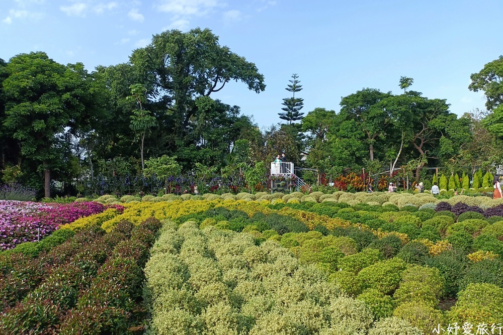 29花露農場