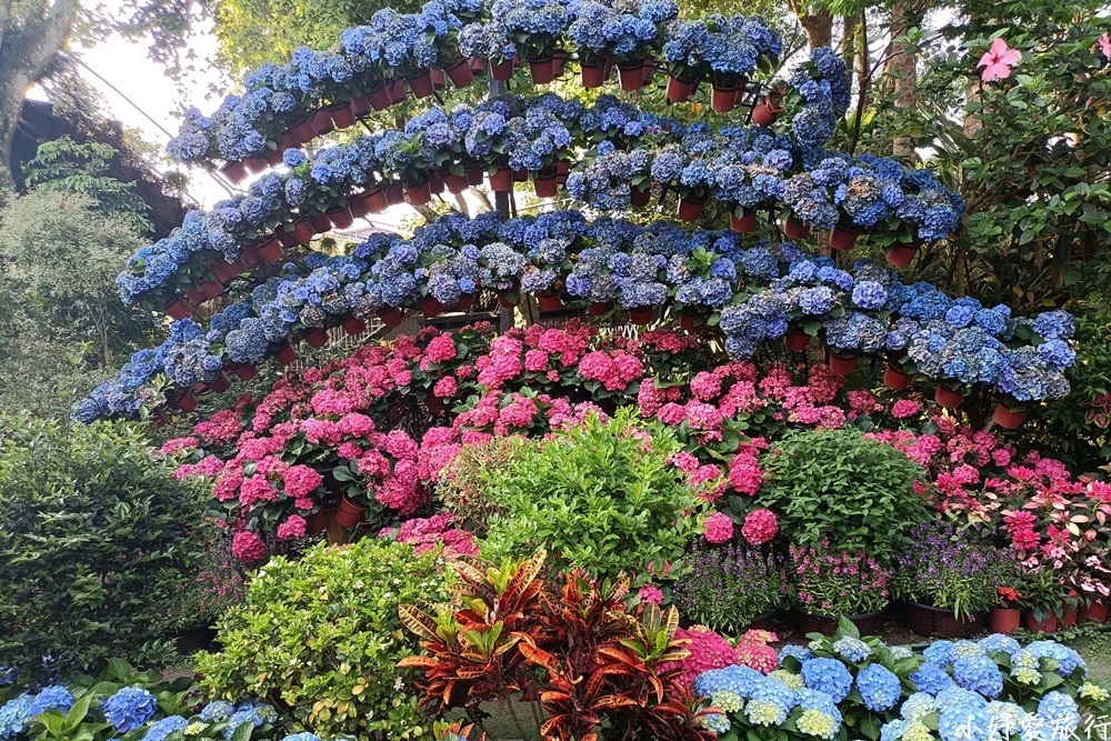 34花露農場