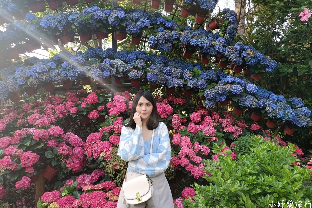 35花露農場