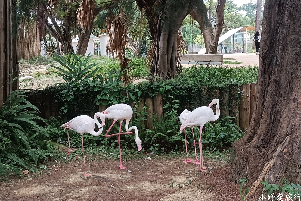 04新竹市立動物園