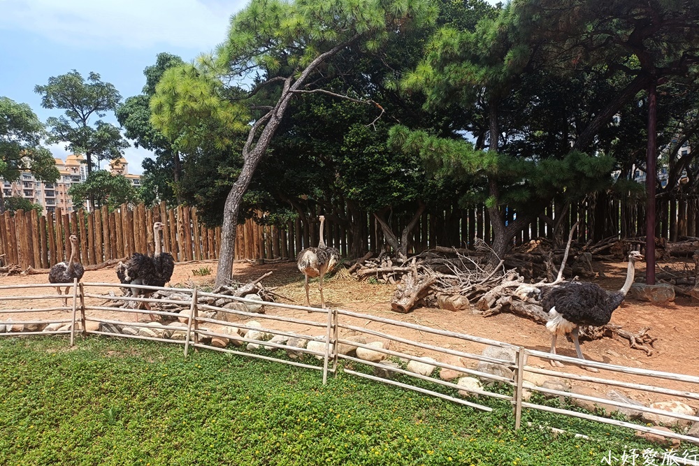 05新竹市立動物園