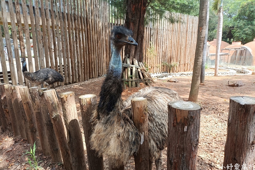 06新竹市立動物園