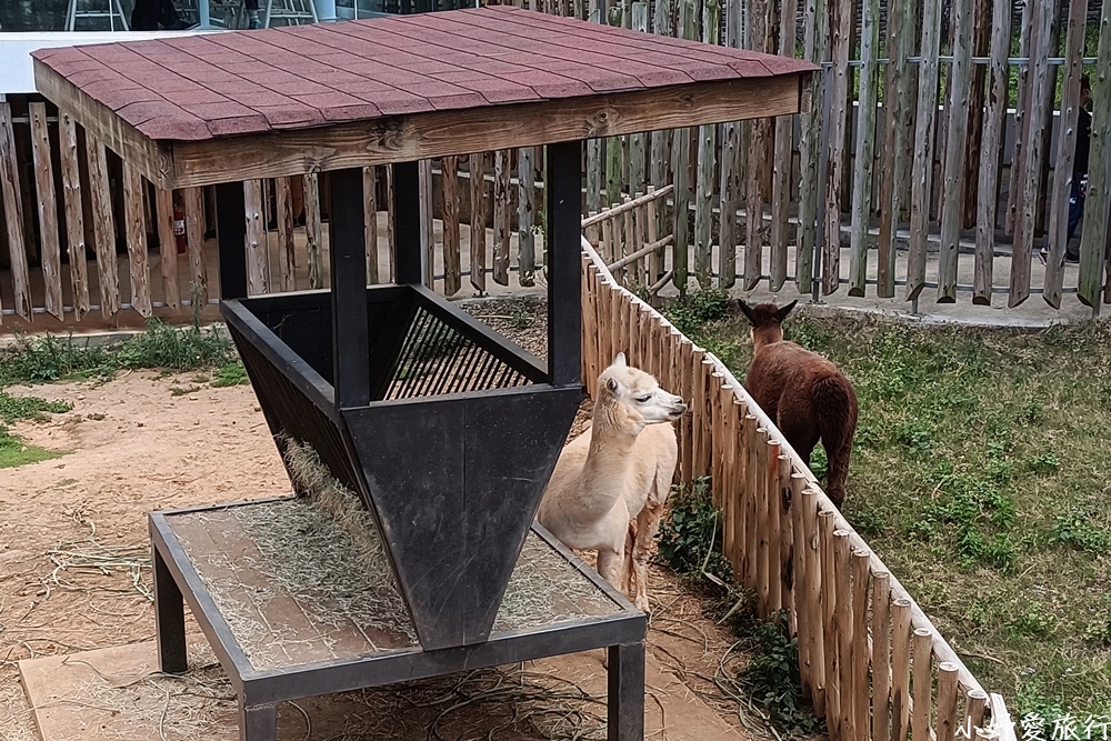 07新竹市立動物園