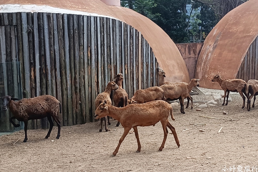 08新竹市立動物園