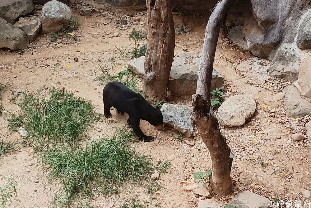 09新竹市立動物園