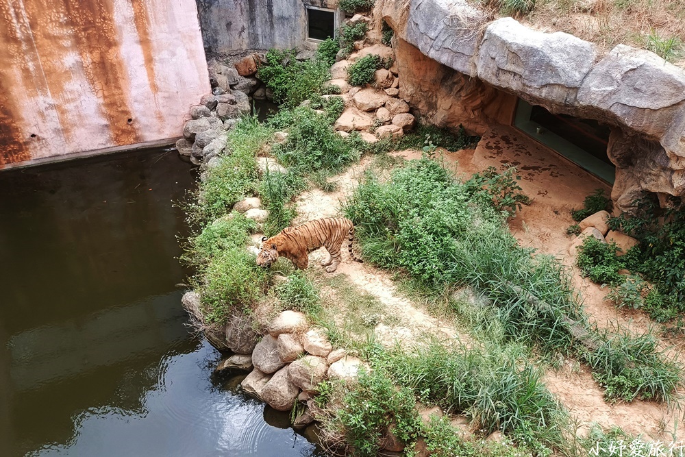 10新竹市立動物園