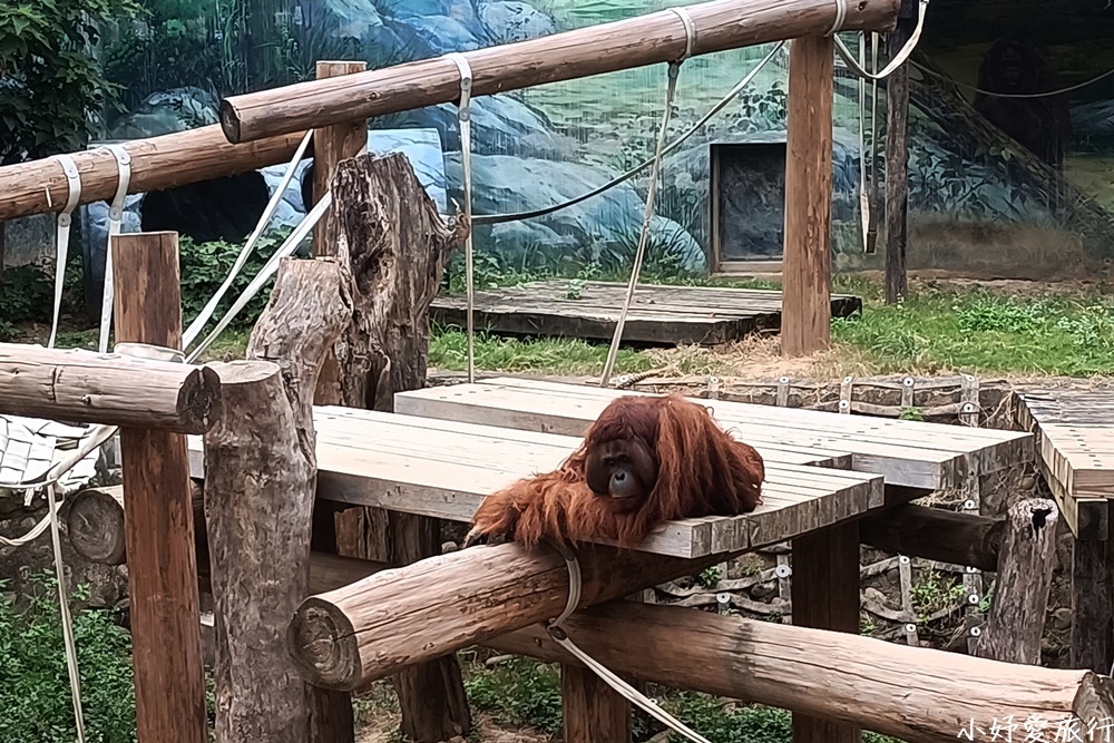 11新竹市立動物園