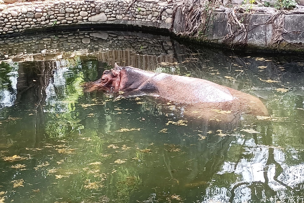 12新竹市立動物園