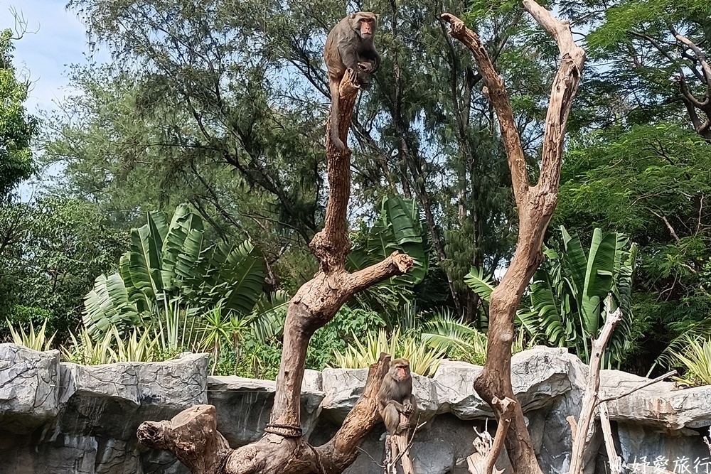 13新竹市立動物園