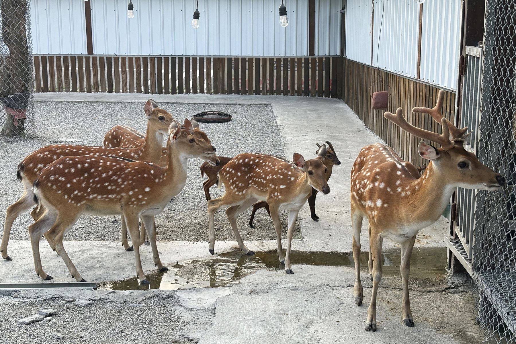 19 張家樹園