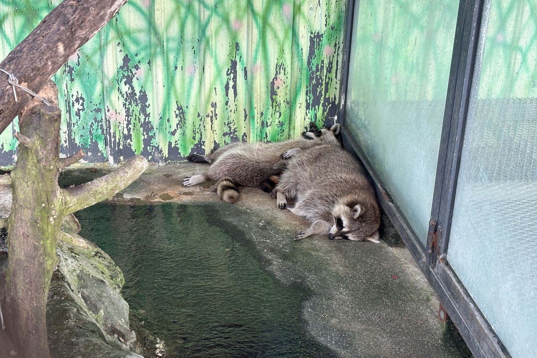 21 張家樹園
