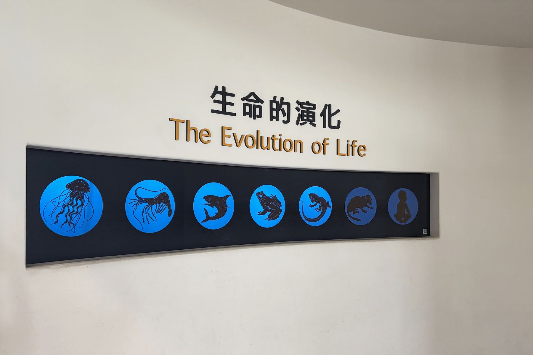 09 國立自然科學博物館