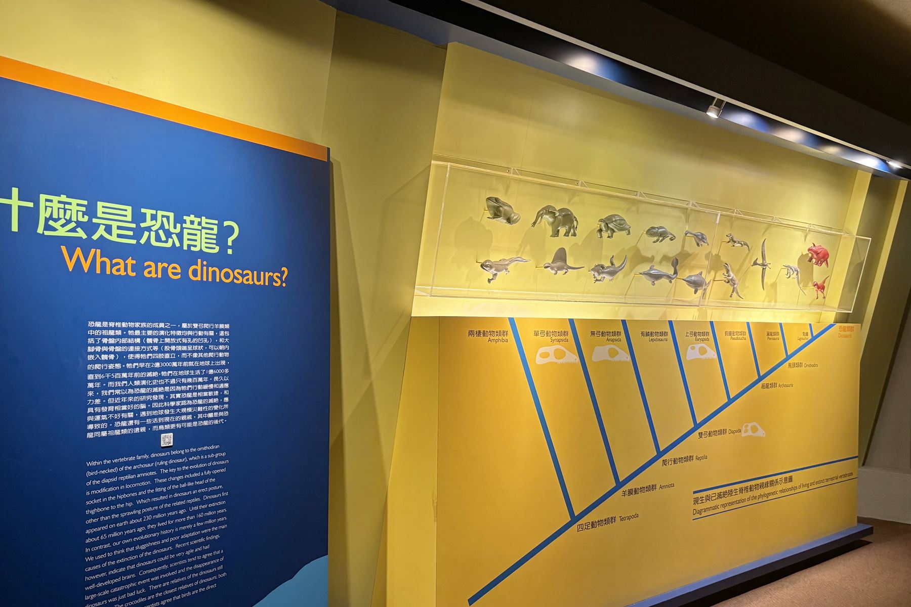 13 國立自然科學博物館