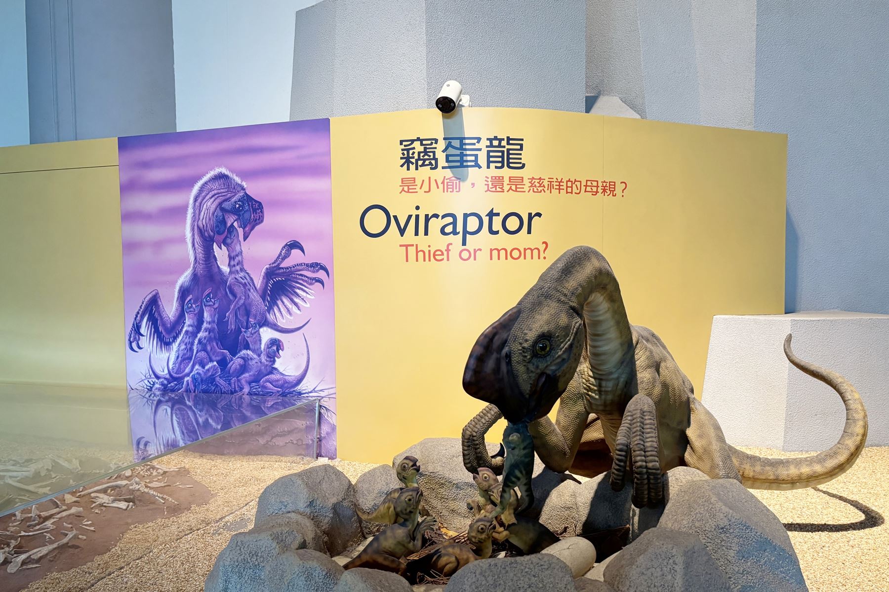 17 國立自然科學博物館