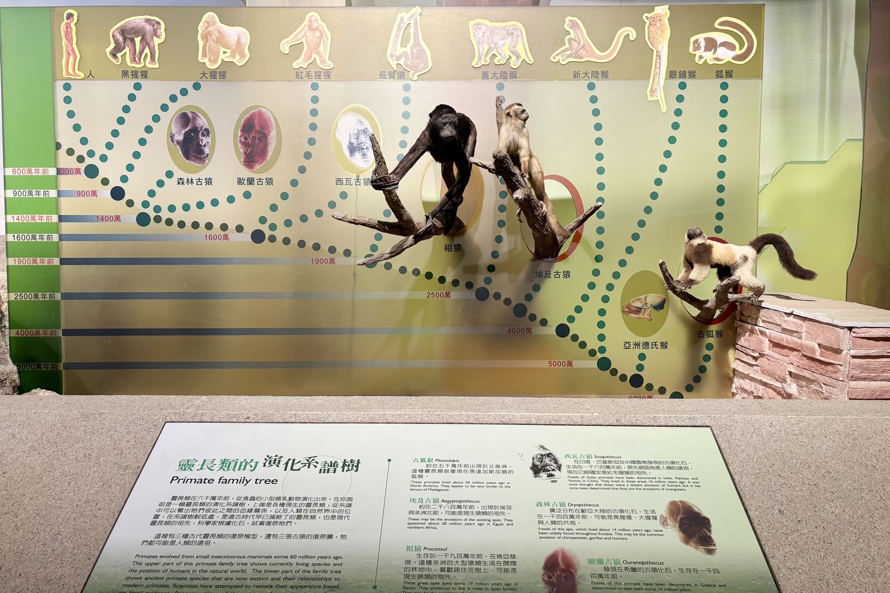 20 國立自然科學博物館