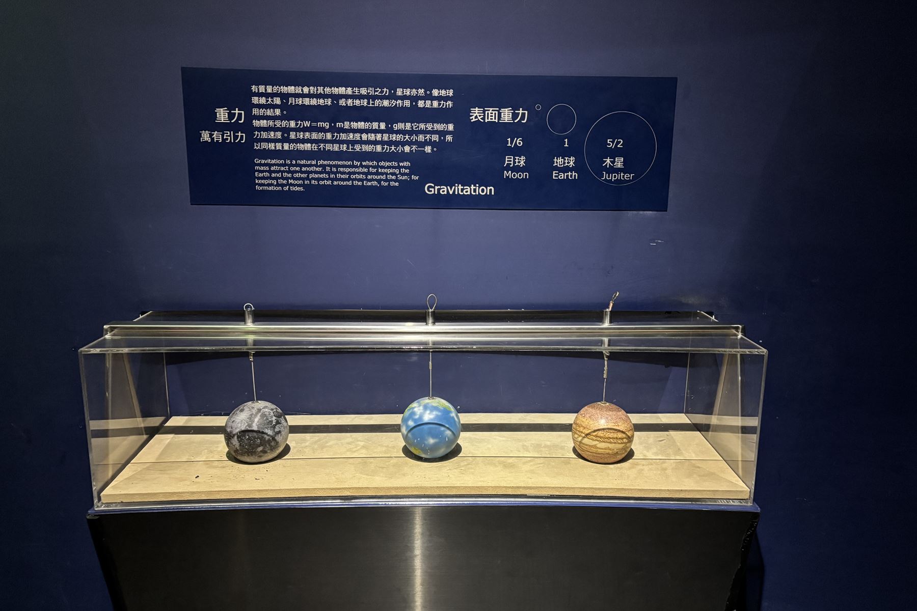 40 國立自然科學博物館