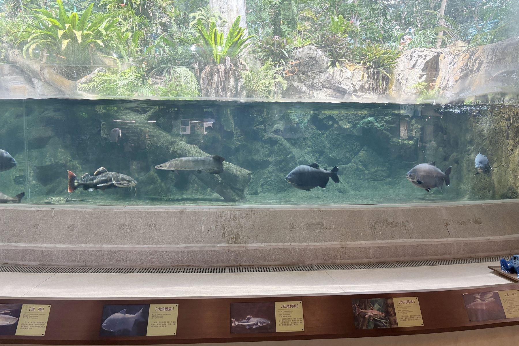 49 國立自然科學博物館