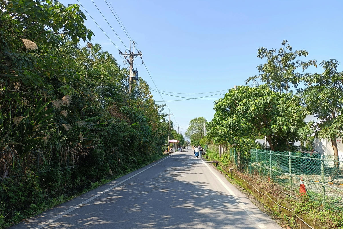 宜蘭景點｜斑比山丘：台版小奈良，與梅花鹿零距離互動