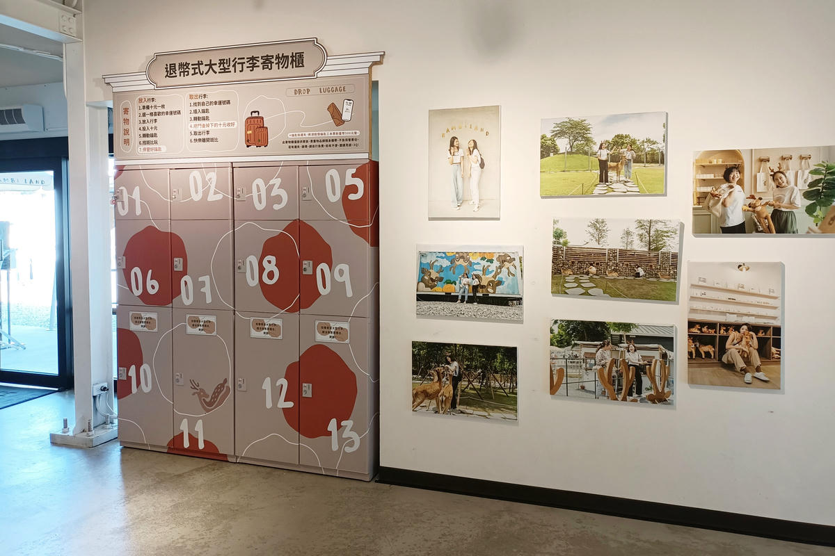 宜蘭景點｜斑比山丘：台版小奈良，與梅花鹿零距離互動