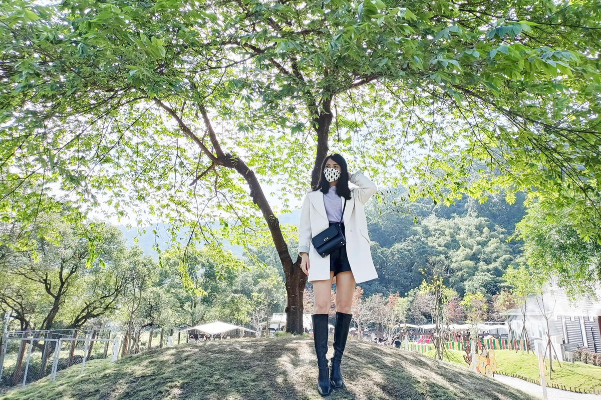 宜蘭景點｜斑比山丘：台版小奈良，與梅花鹿零距離互動