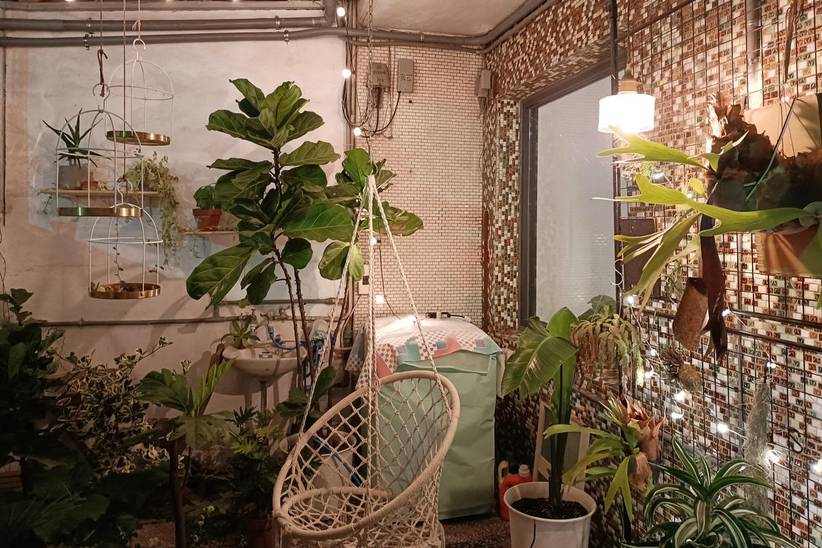 苗栗住宿｜小仙肉包棟民宿：綠意盎然的文青老宅