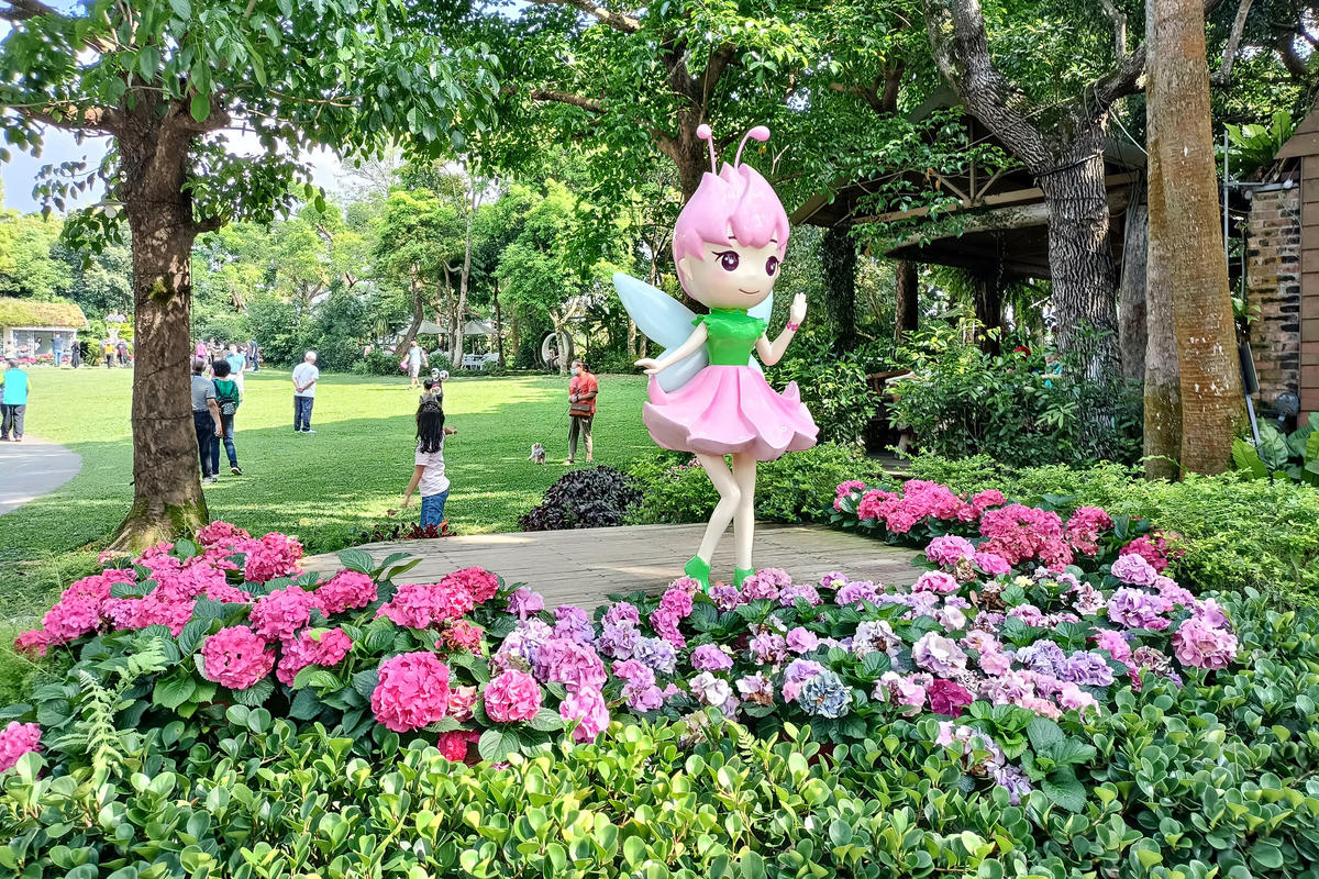 苗栗景點｜花露農場：浪漫繡球花田，彩色波波草海