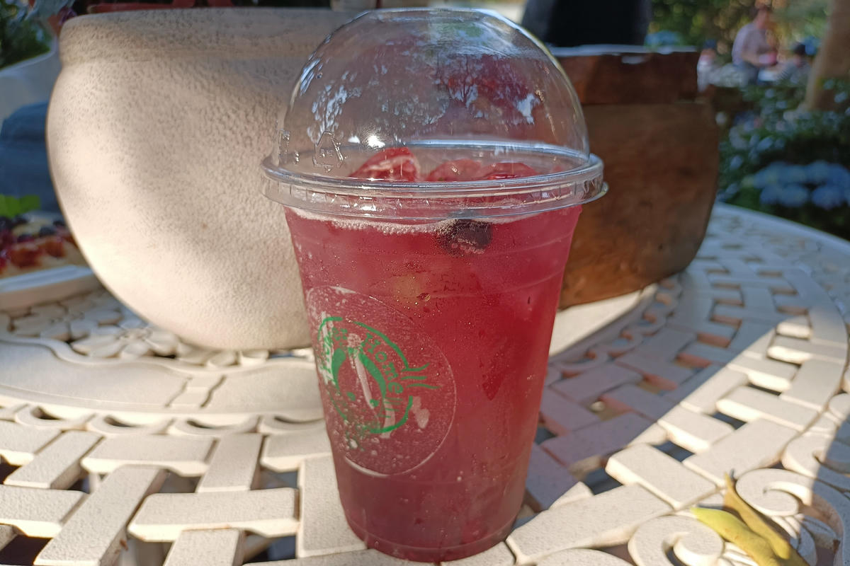 苗栗景點｜花露農場：浪漫繡球花田，彩色波波草海