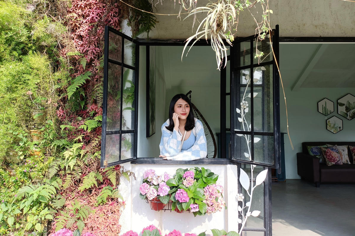 苗栗景點｜花露農場：浪漫繡球花田，彩色波波草海