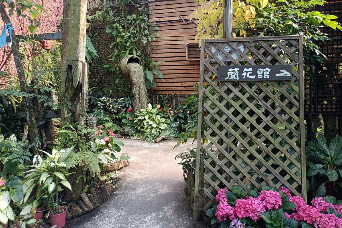 苗栗景點｜花露農場：浪漫繡球花田，彩色波波草海