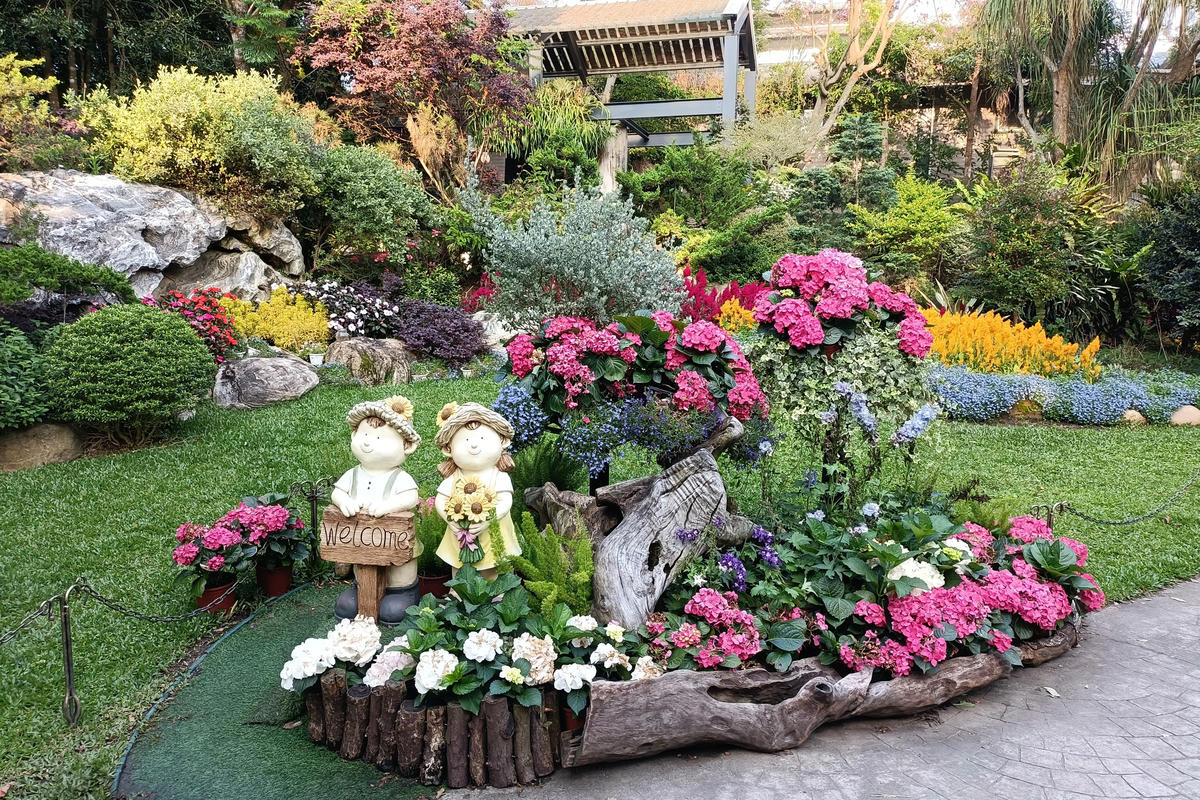 苗栗景點｜花露農場：浪漫繡球花田，彩色波波草海