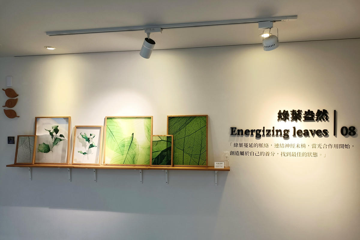 台中住宿｜綠宿行旅：綠意生活設計旅店，享受城市森呼吸
