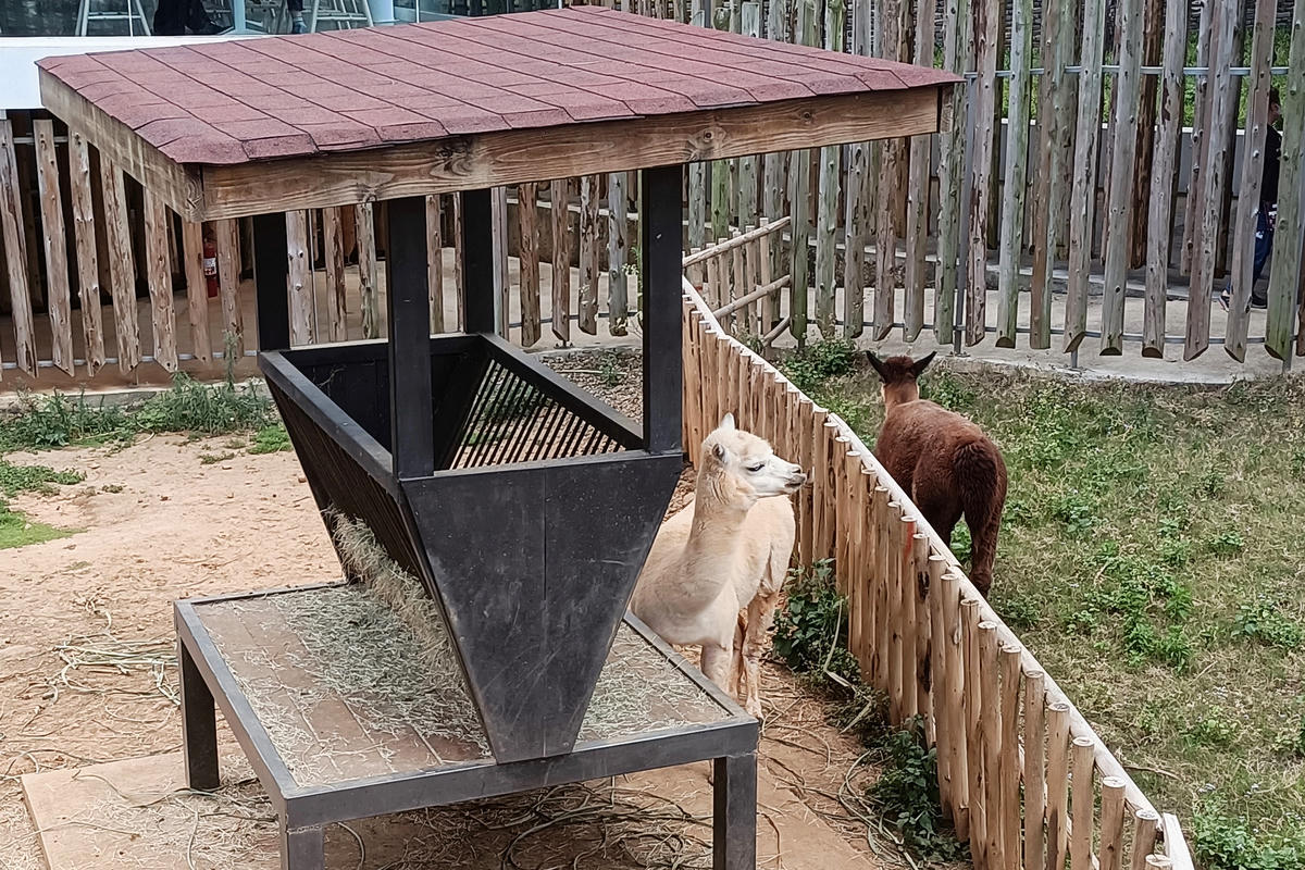 新竹景點｜新竹市立動物園：全台首座無柵欄動物園