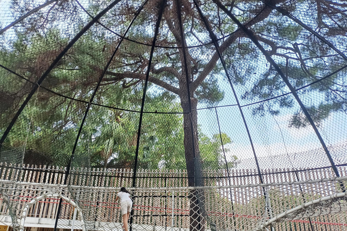 新竹景點｜新竹市立動物園：全台首座無柵欄動物園