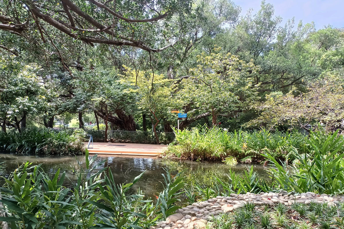 新竹景點｜新竹市立動物園：全台首座無柵欄動物園