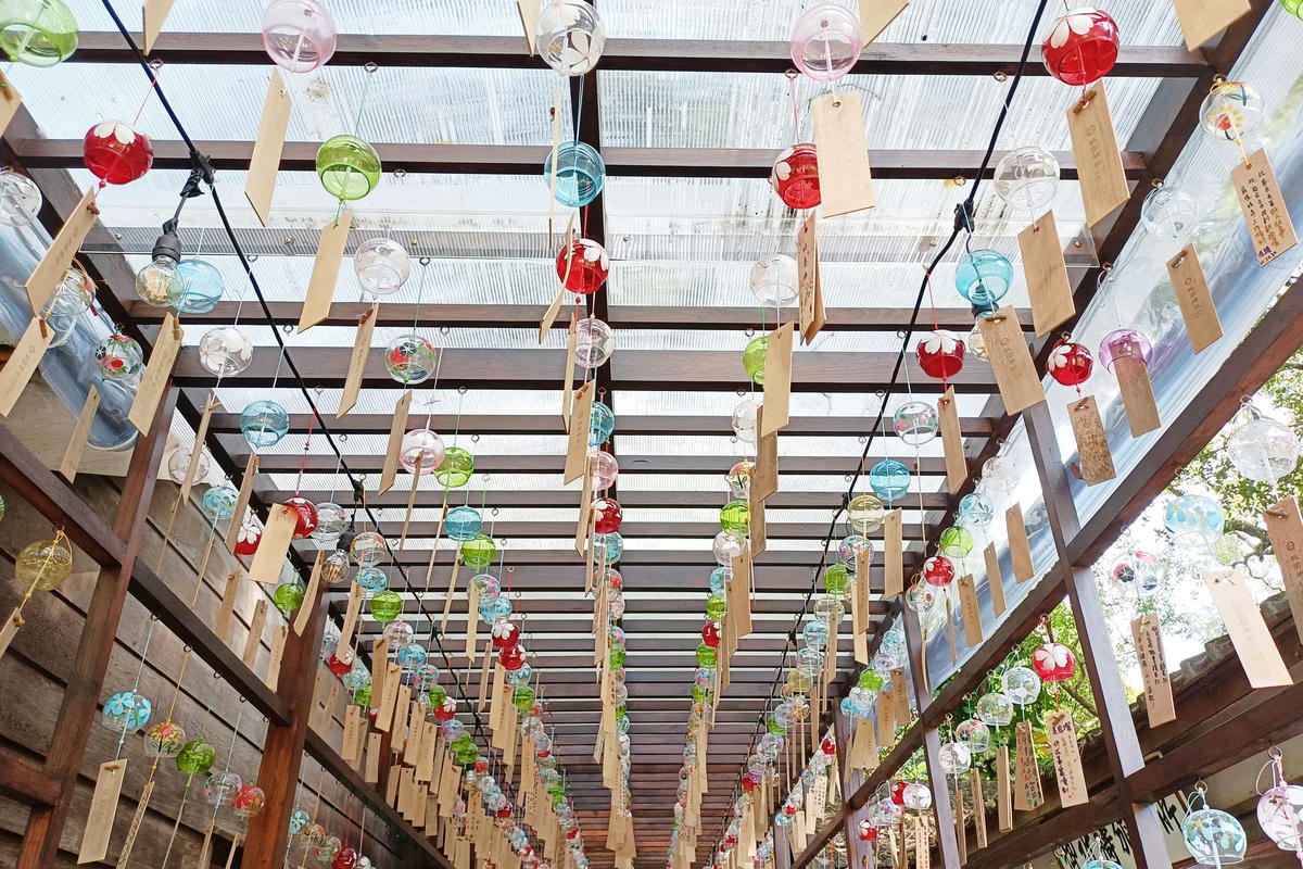 桃園景點｜桃園神社昭和拾參：全台保存最完整的日本神社