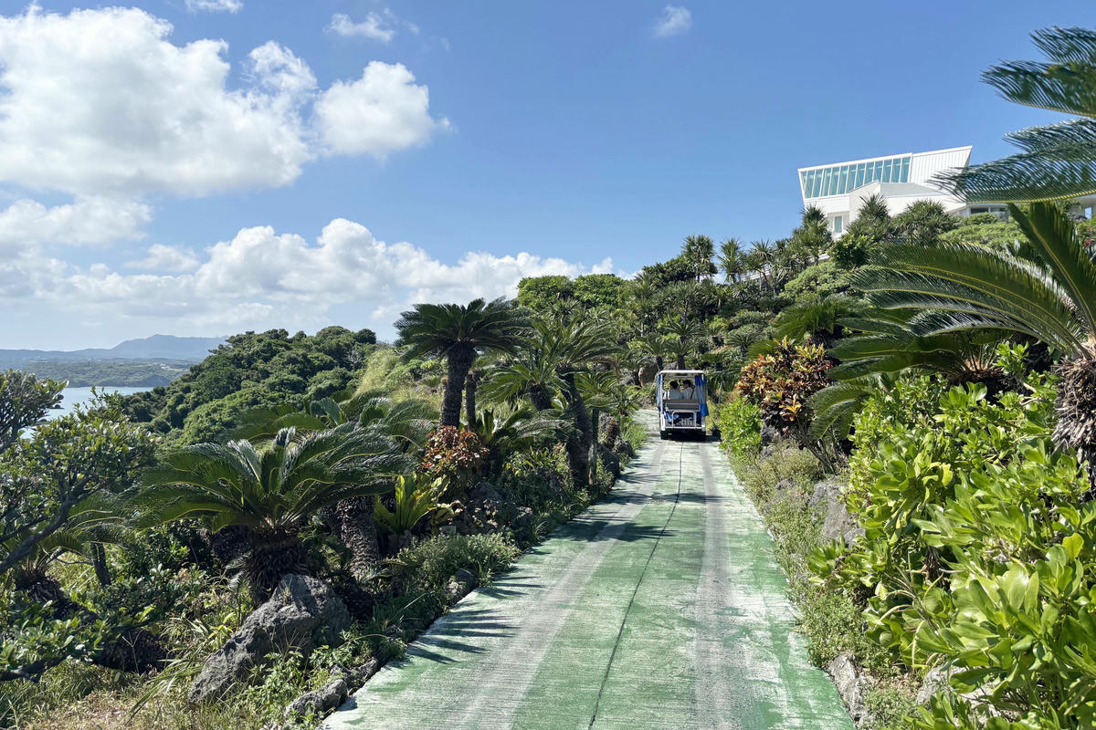 沖繩景點|古宇利海洋塔:俯瞰古宇利大橋與蔚藍海景 - 第6張圖 沖繩景點|古宇利海洋塔:俯瞰古宇利大橋與蔚藍海景