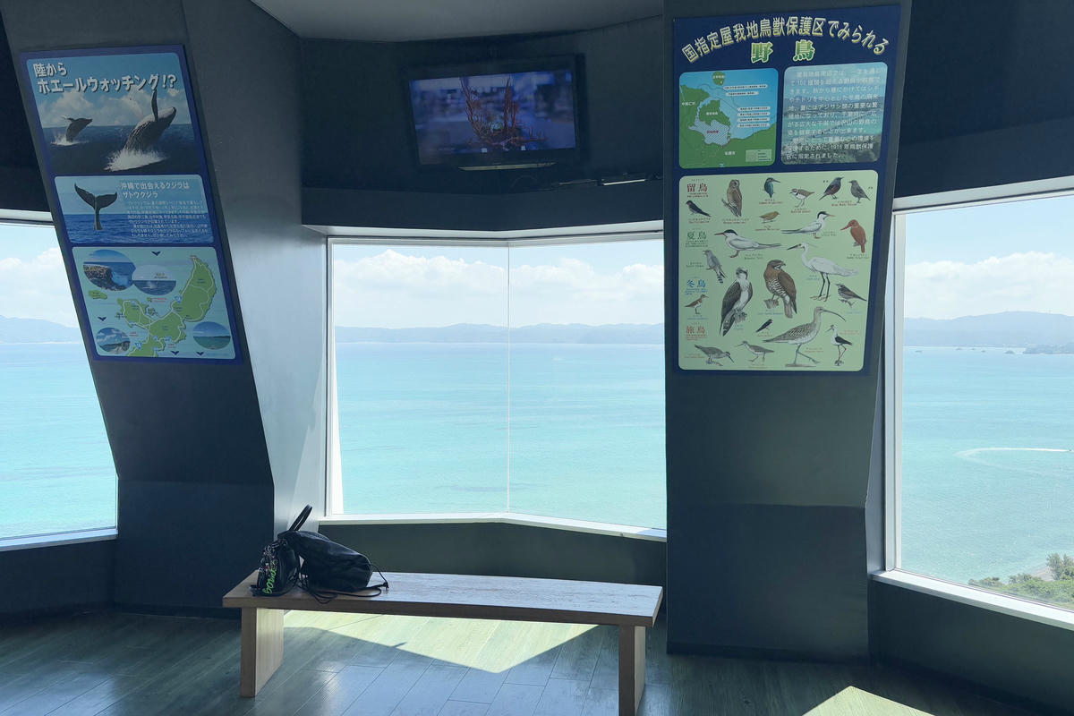 沖繩景點|古宇利海洋塔:俯瞰古宇利大橋與蔚藍海景 - 第12張圖 沖繩景點|古宇利海洋塔:俯瞰古宇利大橋與蔚藍海景