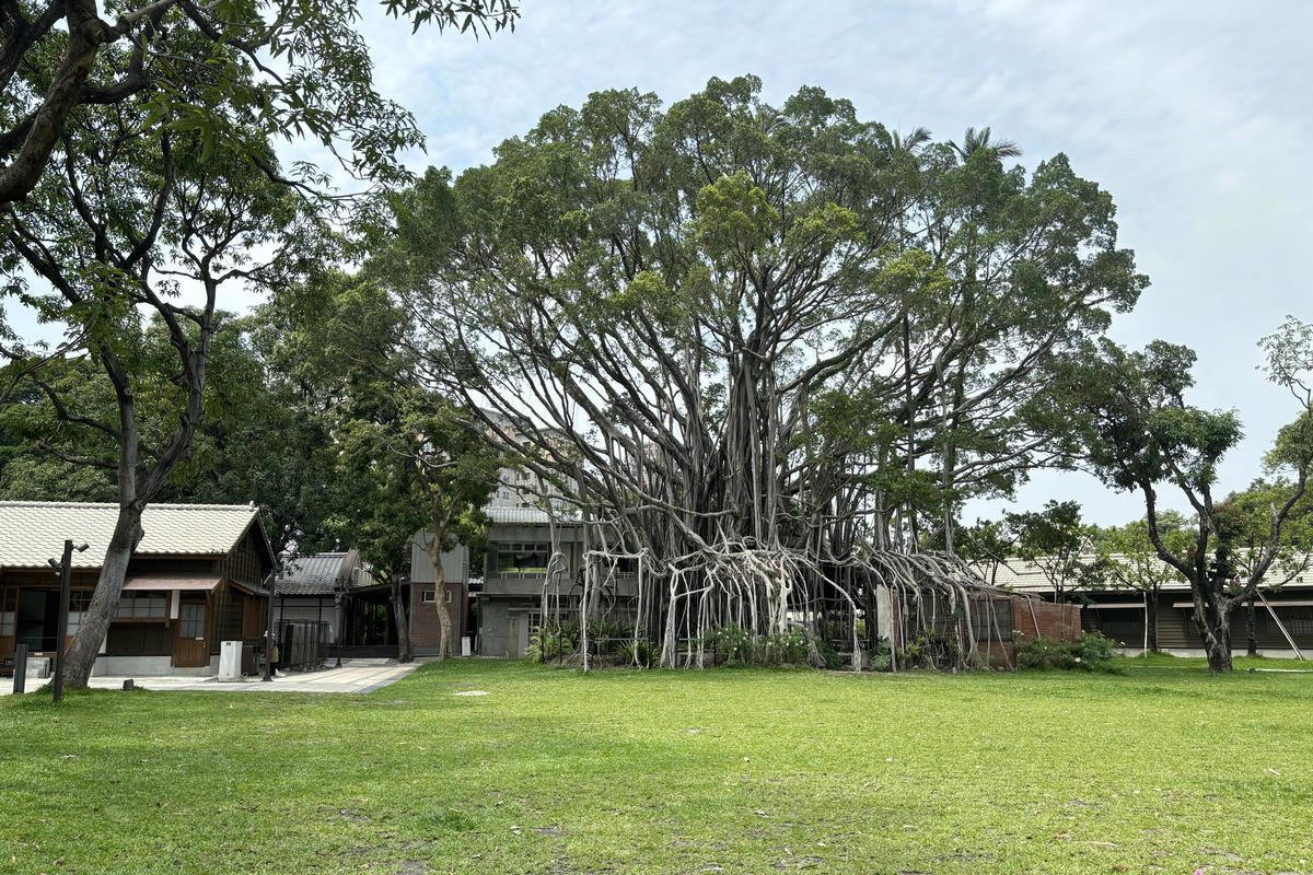 台中景點｜國家漫畫博物館：日式建築中的漫畫文創園區