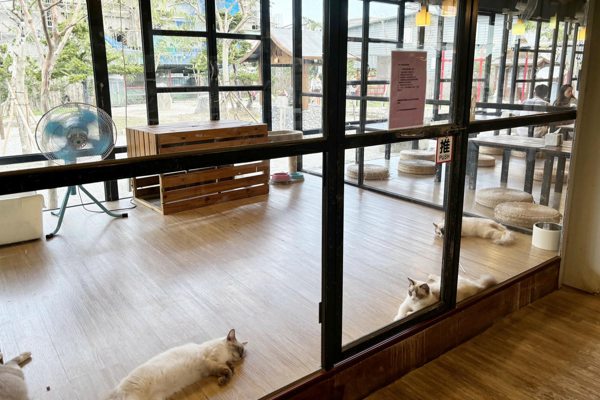 花蓮景點｜張家樹園：日式庭園造景，免費和服體驗