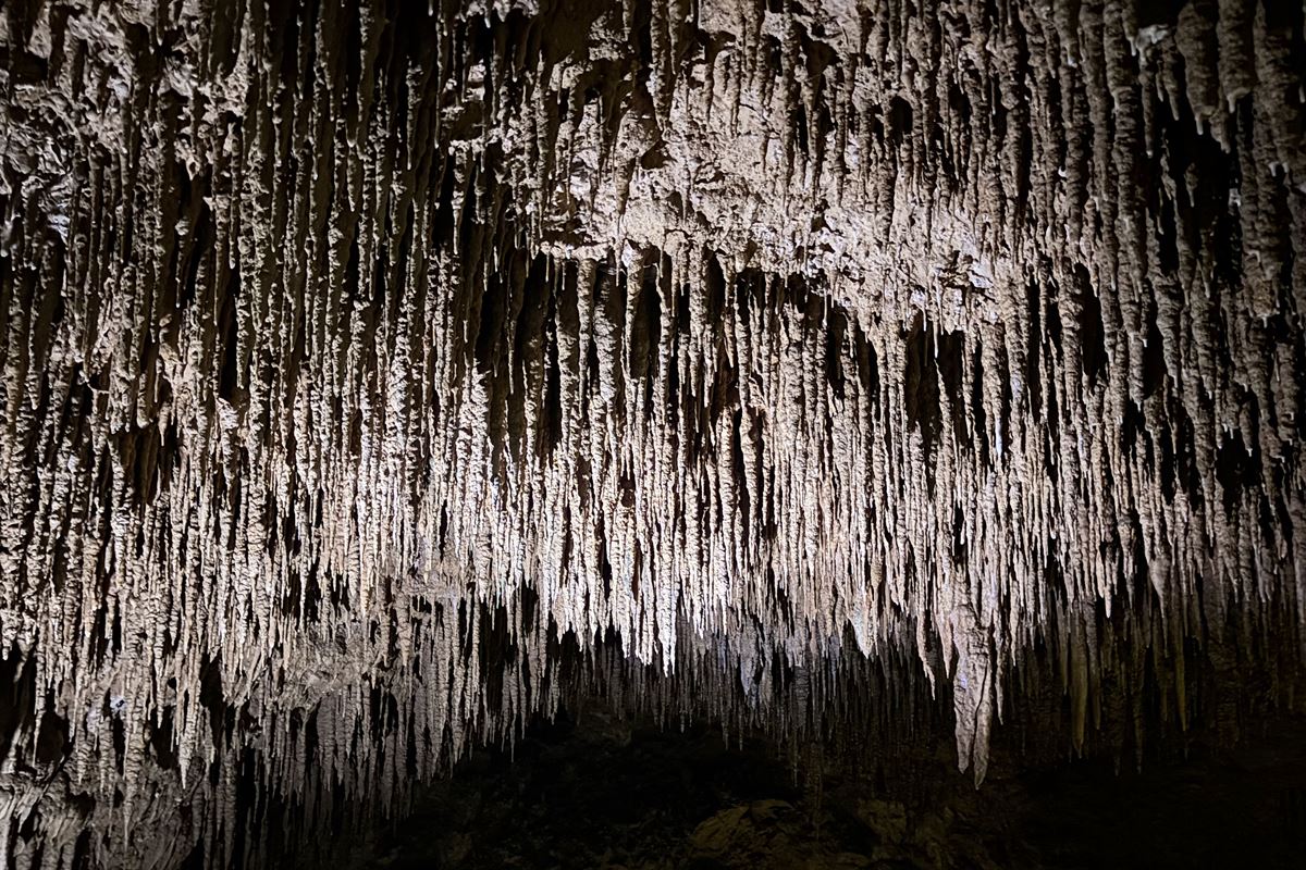 08 沖繩世界文化王國