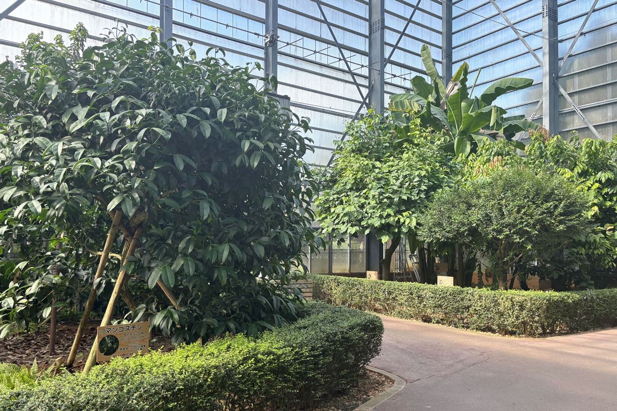 12 沖繩世界文化王國