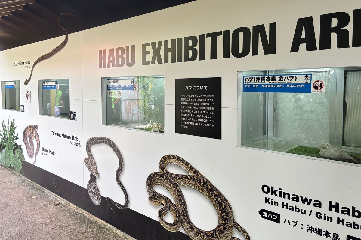 23 沖繩世界文化王國